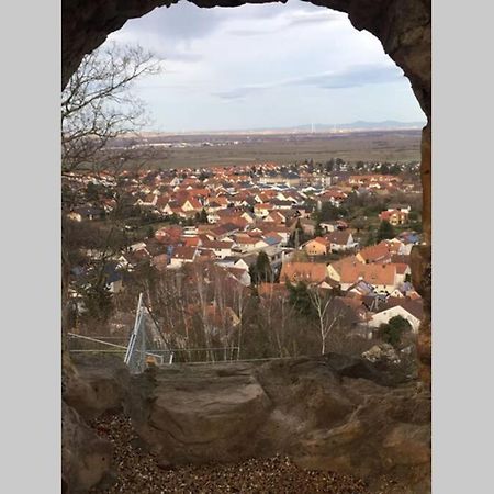 Wunderschoene Wohnung Mit Blick Auf Die Weinberge Нойштадт-ан-дер-Вайнштрасе Экстерьер фото