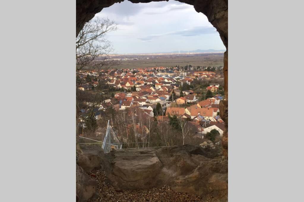 Wunderschoene Wohnung Mit Blick Auf Die Weinberge Нойштадт-ан-дер-Вайнштрасе Экстерьер фото