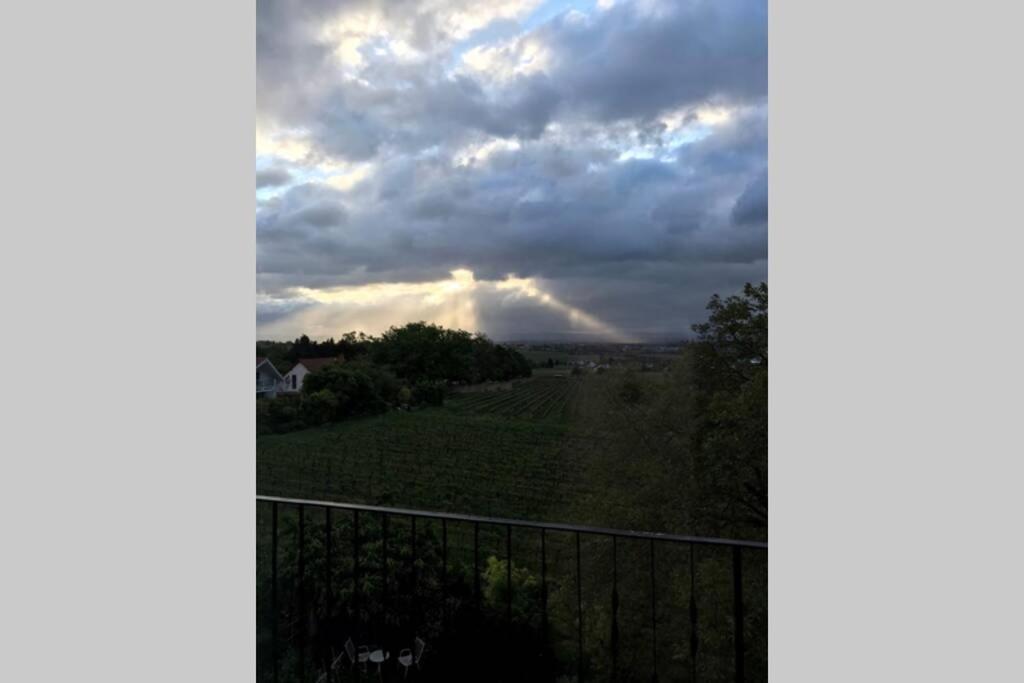 Wunderschoene Wohnung Mit Blick Auf Die Weinberge Нойштадт-ан-дер-Вайнштрасе Экстерьер фото